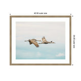 Photograph of two cranes flying side by side against a cloudy sky, framed in light wood with outer dimensions of 42 by 34 inches.
