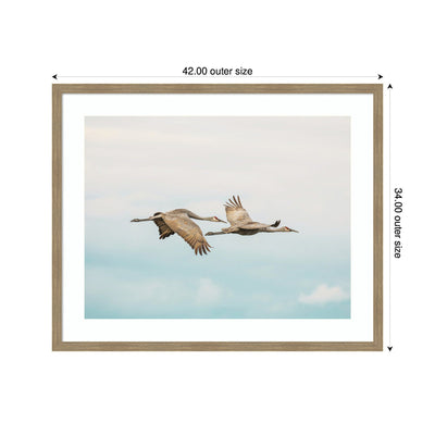 Cranes Flying by Emiko and Mark Franzen F2 Images Framed Wall Art Print