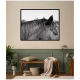 Black and white close-up photo of a horse's head facing right with detailed mane texture, framed on a beige wall above a wooden bench with cushion and throw.