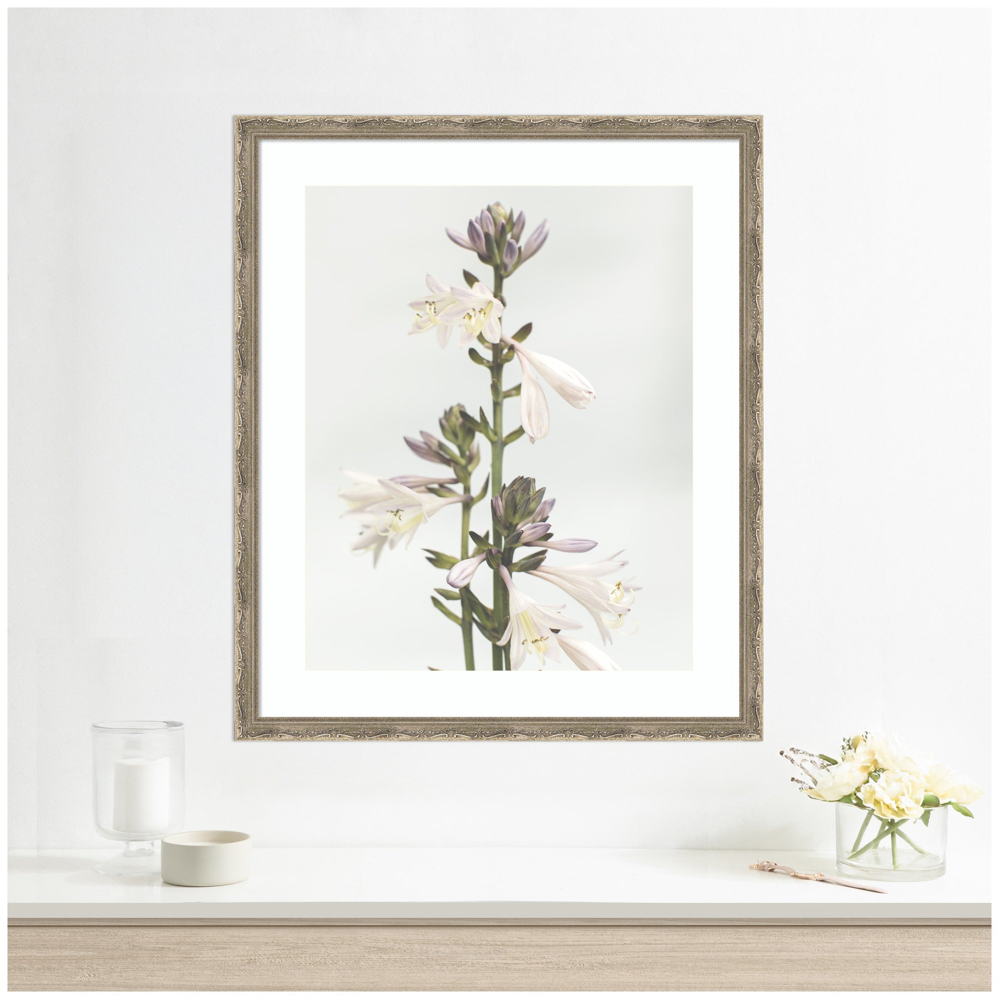 Framed Art Hosta by Alicia Abla