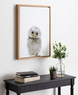 Framed canvas of a fluffy gray and white owl with large dark eyes against a white background, hanging above a black table with books and two small potted plants.