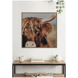 Close-up framed canvas print of a shaggy Highland cow's face with long reddish-brown fur and a visible horn, hanging above a wood and metal console table.