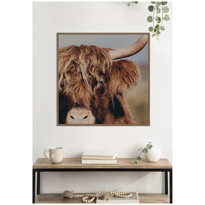 Nosy Highland by Laura Evans Framed Canvas Wall Art Print
