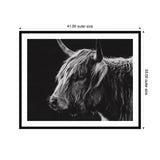 Black and white profile portrait of a shaggy Scottish Highland cow with one horn visible, framed with black and white matting labeled 41 by 33 inches.