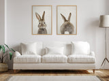 Two framed canvas artworks above a white sofa: one of a bunny's front portrait with upright ears, the other its fluffy rear with a small tail, both on light beige backgrounds.