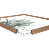 Blake Parrys Agave Framed Printed Glass by kateandlaurel - product image 12 for Resin Society