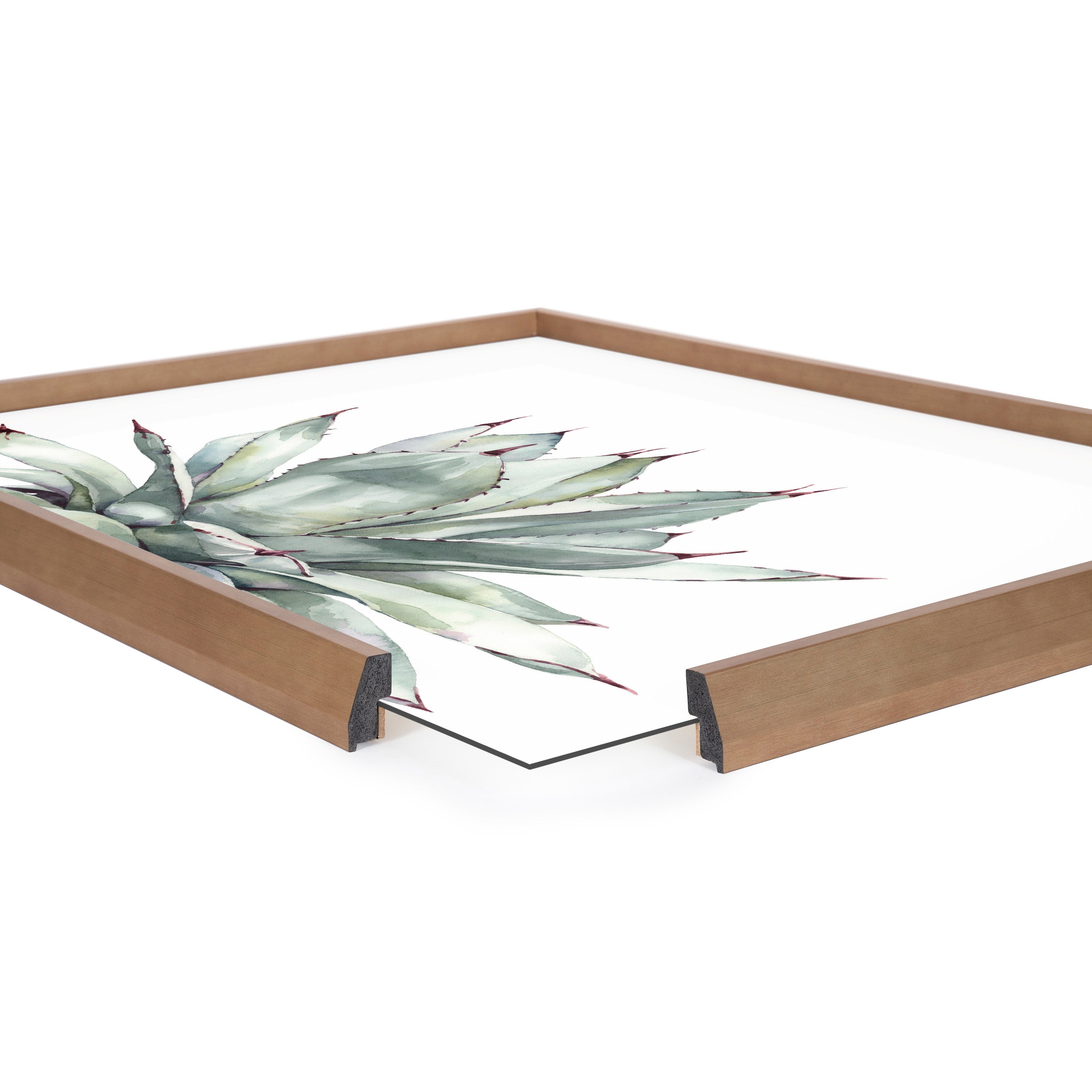 Blake Parrys Agave Framed Printed Glass by kateandlaurel - product image 12 for Resin Society