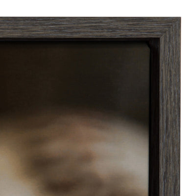 Sylvie Softball Close Up Framed Canvas by kateandlaurel - product image 3 for Resin Society