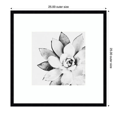 Modern Succulent by Tai Prints Framed Wall Art Print