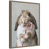 Framed canvas of an adorable bunny holding a candy cane