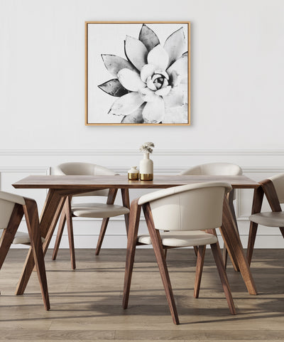 Sylvie Succulent Framed Canvas by Simon Te of Tai Prints