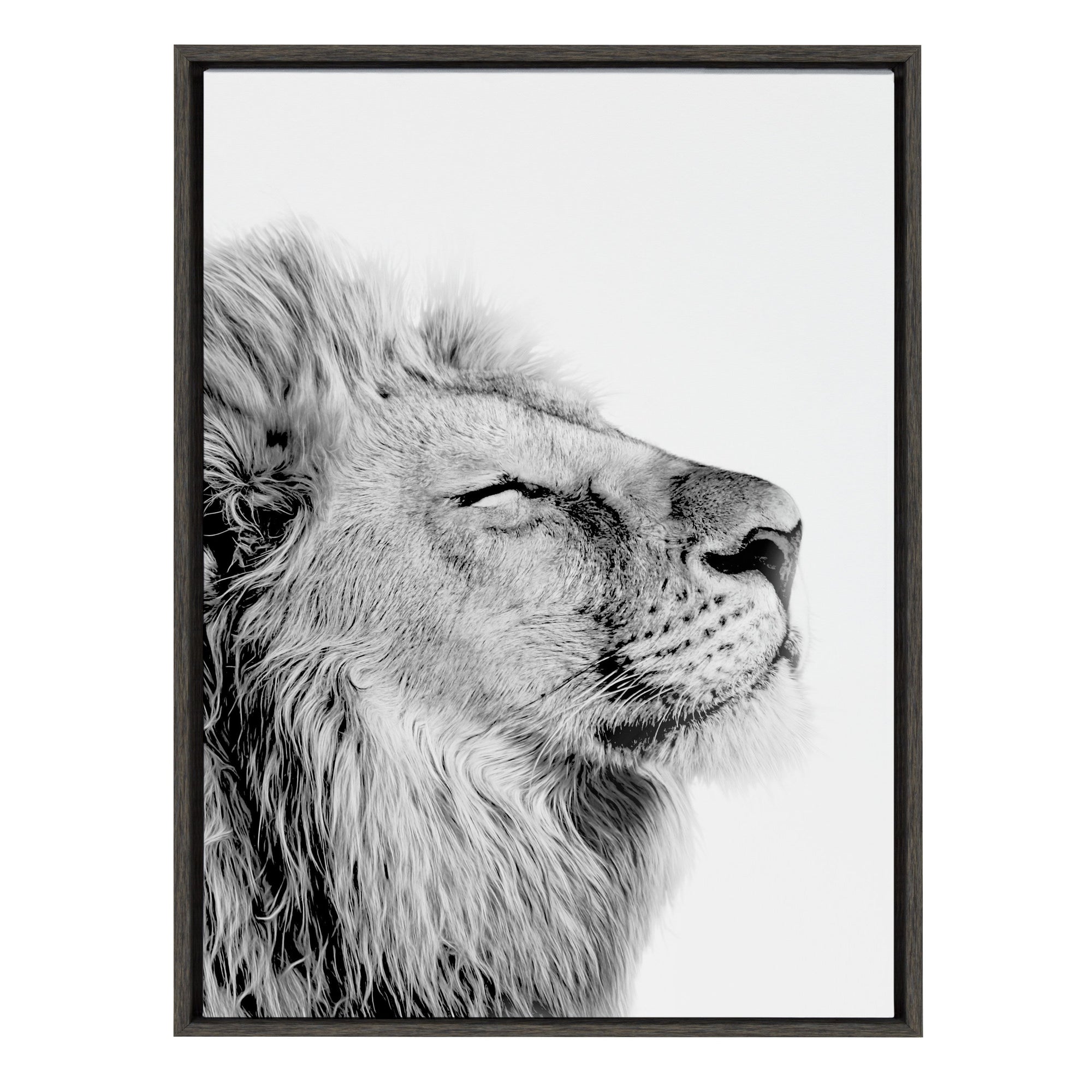 Sylvie Lion Self Actualizing Framed Canvas by kateandlaurel - product image 7 for Resin Society
