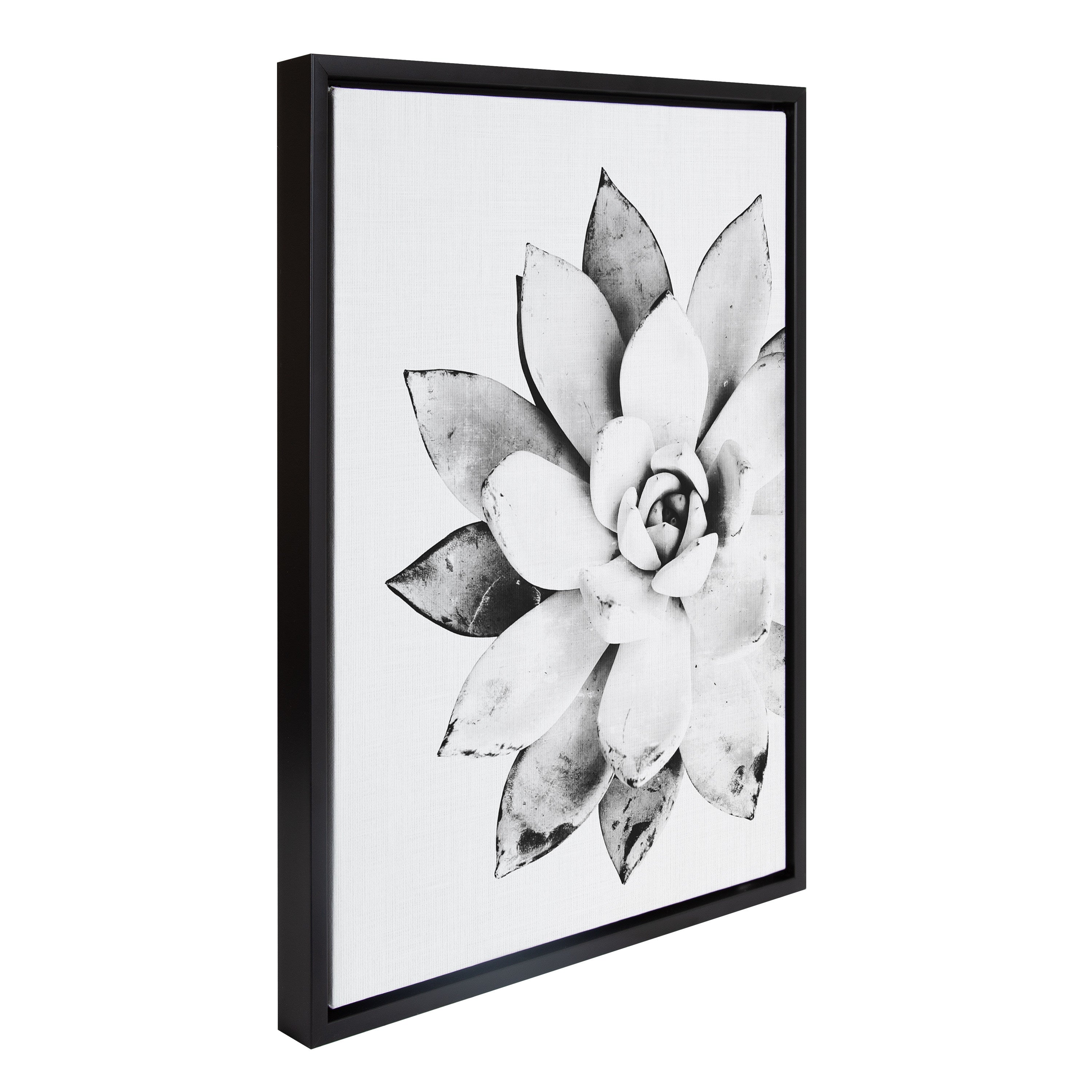 Sylvie Succulent Framed Canvas by Simon Te of Tai Prints