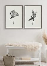 Sylvie Vintage Botanical 1 and 2 Framed Canvas by kateandlaurel - product image 9 for Resin Society