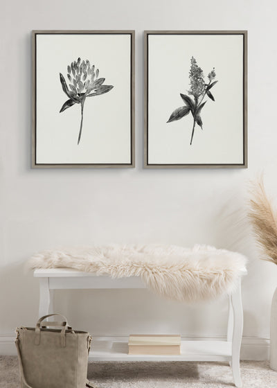 Sylvie Vintage Botanical 1 and 2 Framed Canvas by kateandlaurel - product image 9 for Resin Society