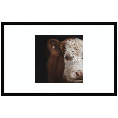 Cow Close by Emiko and Mark Franzen F2 Images Framed Wall Art Print