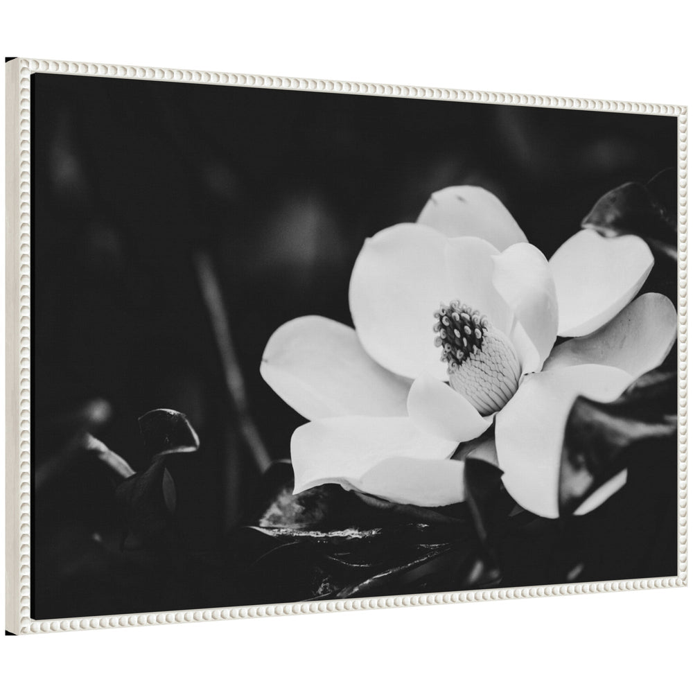 Sylvie Magnolias Framed Canvas by Alicia Abla showing floral magnolia artwork in vintage beaded frame