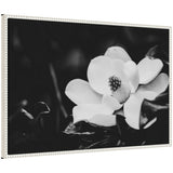 Sylvie Magnolias Framed Canvas by Alicia Abla showing floral magnolia artwork in vintage beaded frame