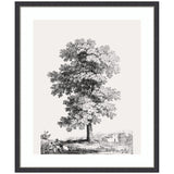 Framed black and white ink drawing of a large tree with countryside buildings and hills in the background.