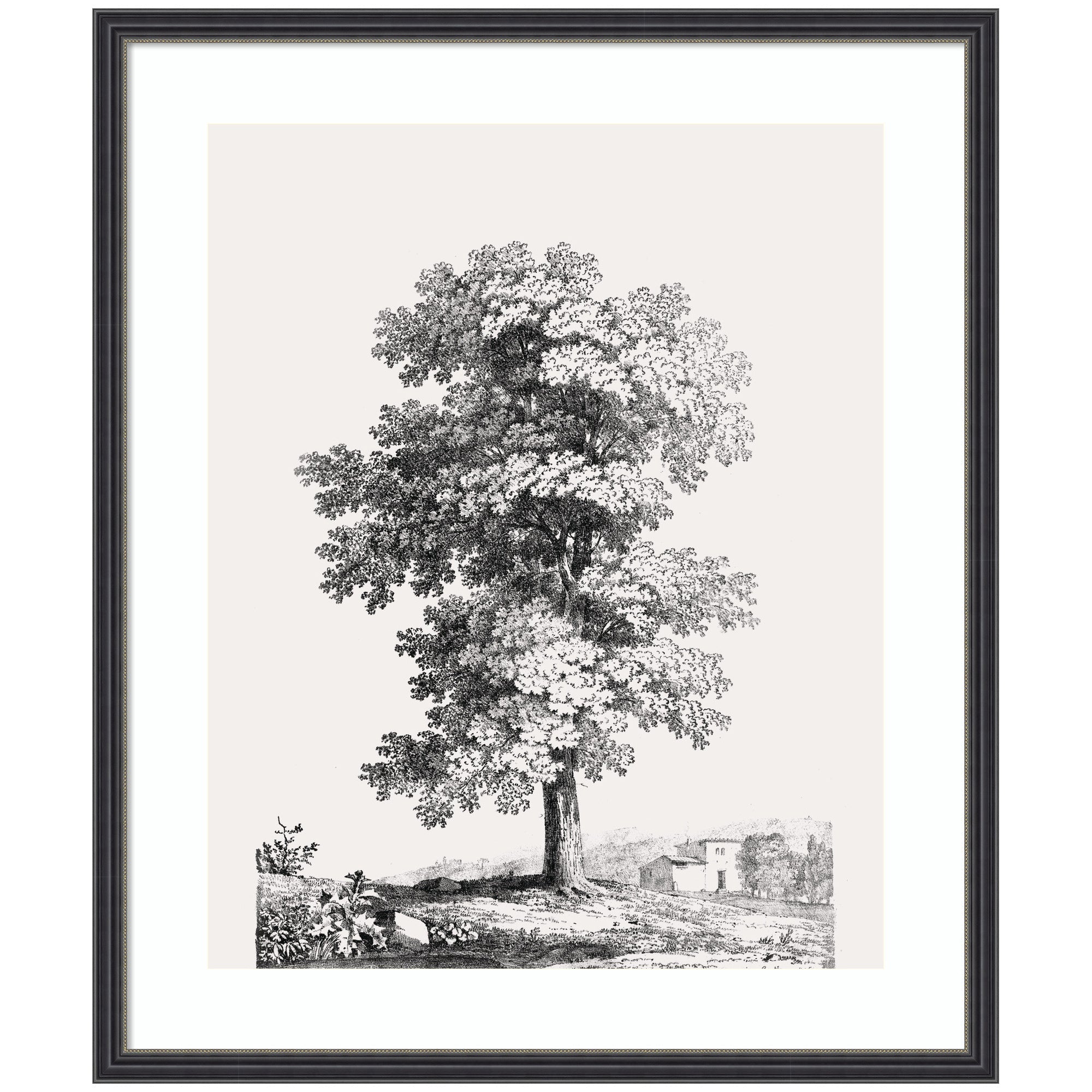 Framed black and white ink drawing of a large tree with countryside buildings and hills in the background.