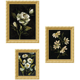 Three framed prints of white flowers with green leaves on black backgrounds presented in gold ornate frames, featuring roses, daisies, and wildflowers.