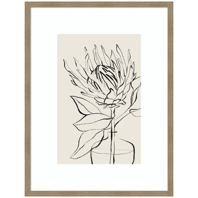 SB Protea Sketch No.
1 by Sara Berrenson Framed Wall Art Print