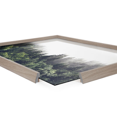 Blake Lush Green Forest on a Foggy Day Framed Printed Glass by kateandlaurel - product image 9 for Resin Society