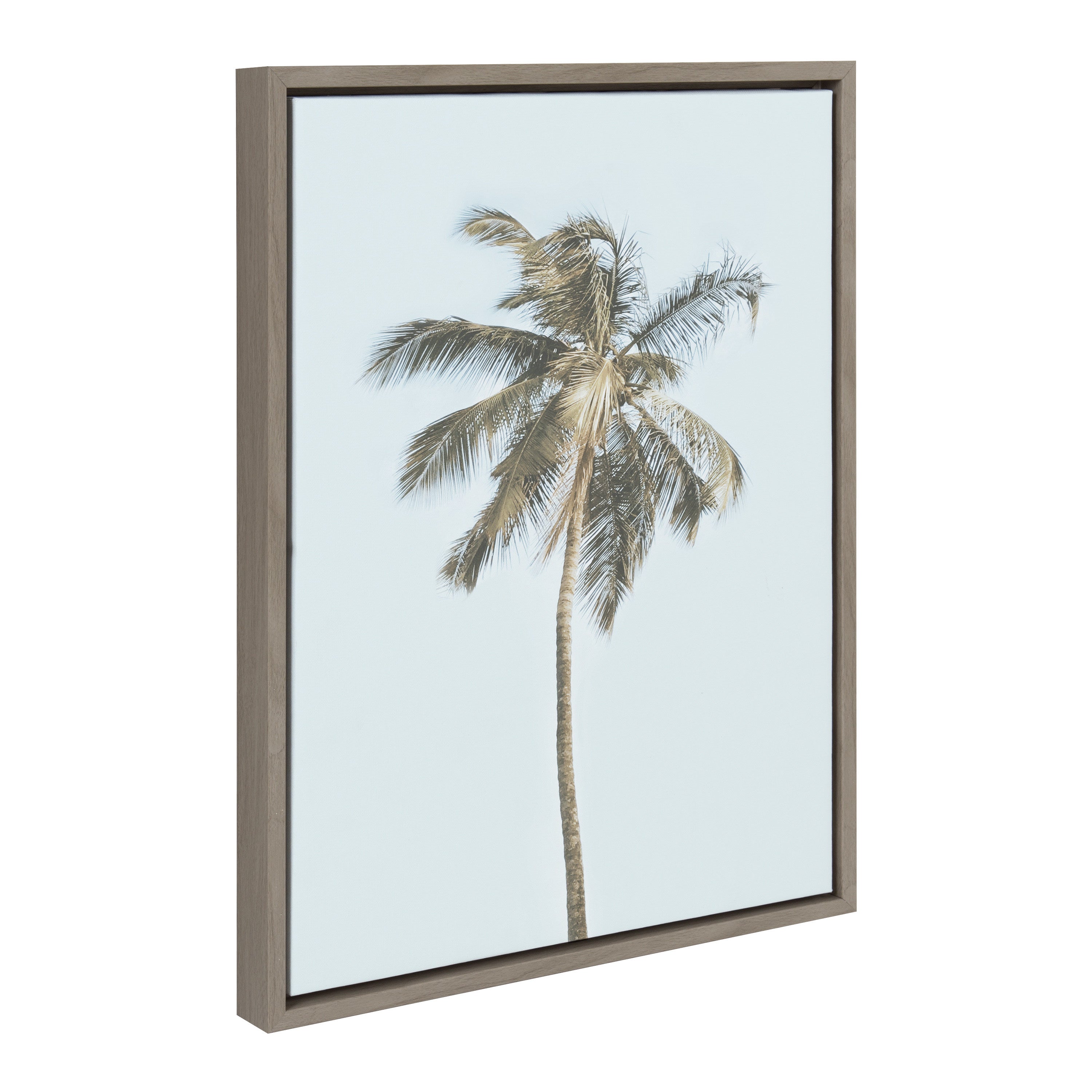 Sylvie One Coconut Palm Tree Framed Canvas by The Creative Bunch Studio by kateandlaurel - product image 19 for Resin Society