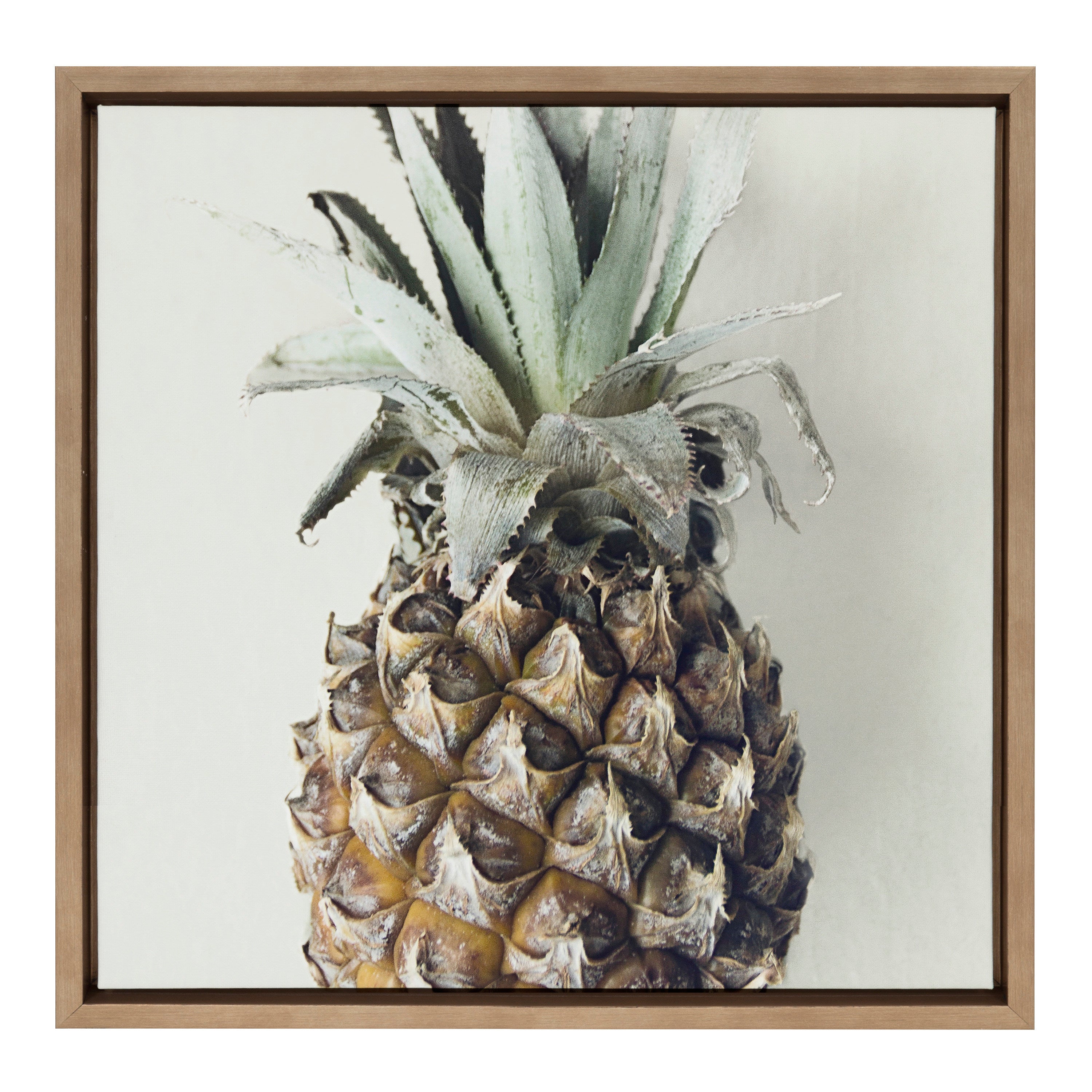 Sylvie Solo Pineapple Framed Canvas by Emiko and Mark Franzen of F2Images