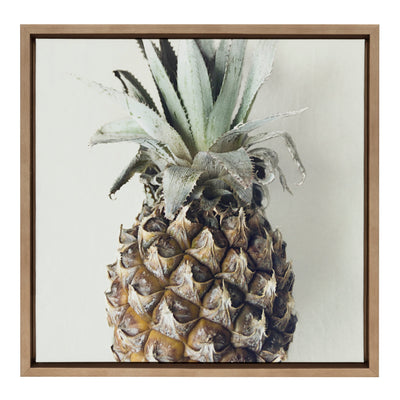 Sylvie Solo Pineapple Framed Canvas by Emiko and Mark Franzen of F2Images