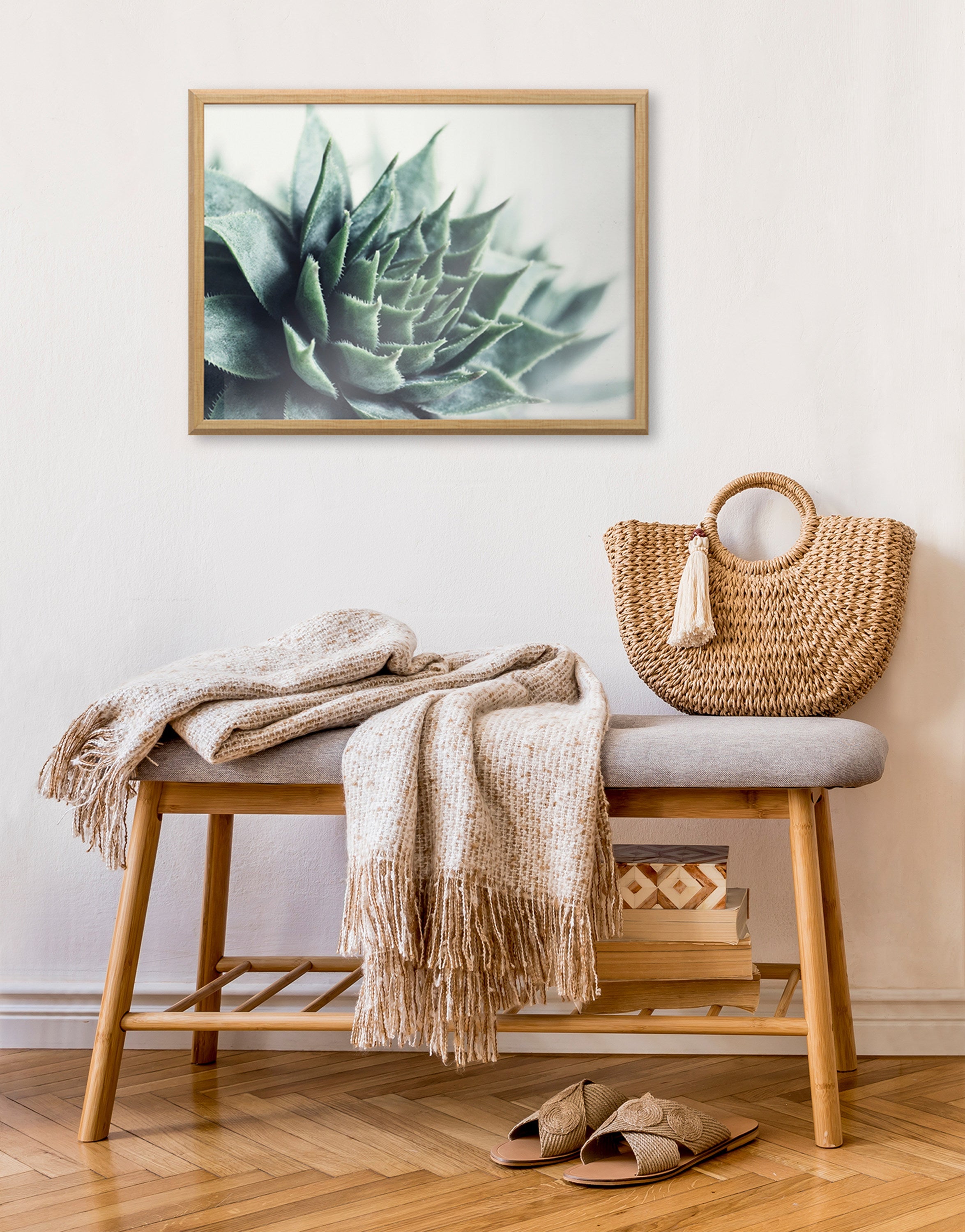 Blake Radical Succulent Framed Printed Glass by Emiko and Mark Franzen of F2Images