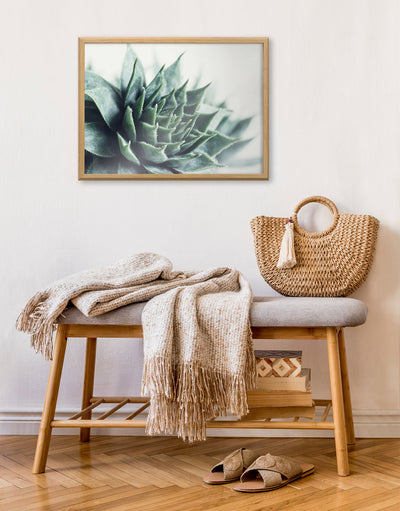 Blake Radical Succulent Framed Printed Glass by Emiko and Mark Franzen of F2Images