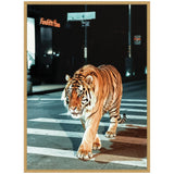 Tiger with orange and black stripes walking across a crosswalk on a city street at night, illuminated by nearby streetlights and buildings.