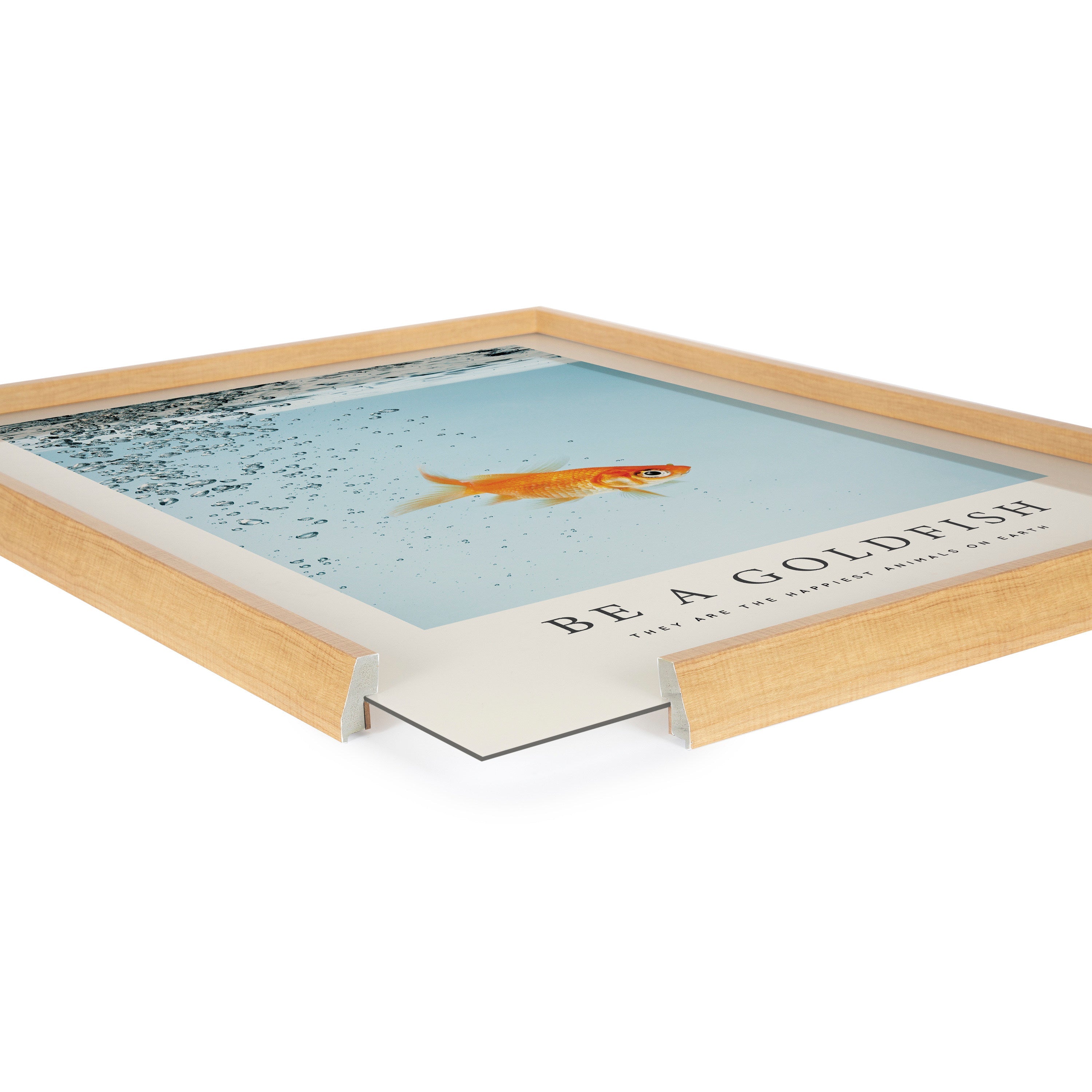 Blake Be A Goldfish Framed Printed Glass by The Creative Bunch Studio by kateandlaurel - product image 3 for Resin Society