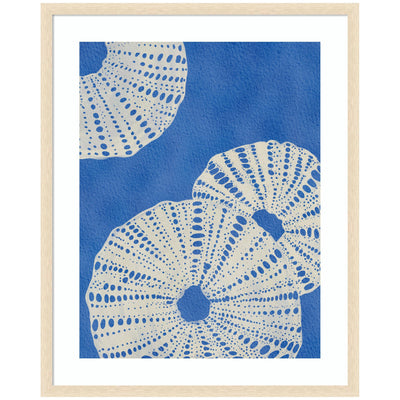Framed print of Ocean Charms ll by Nikita Jariwala showing white sea urchin shells on blue watercolor background