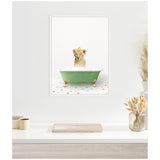 Illustration of a lion cub sitting in a small green clawfoot bathtub with white bubbles, placed on a multicolored tiled floor with a plain white background.