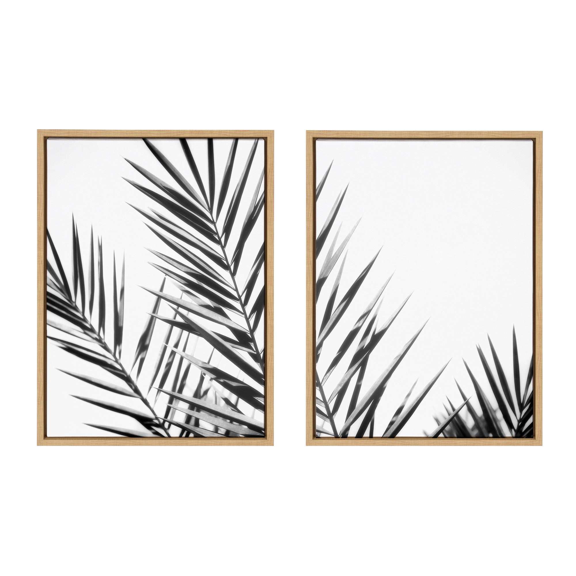 Sylvie Palm I and II BW Framed Canvas by kateandlaurel - main product image for Resin Society