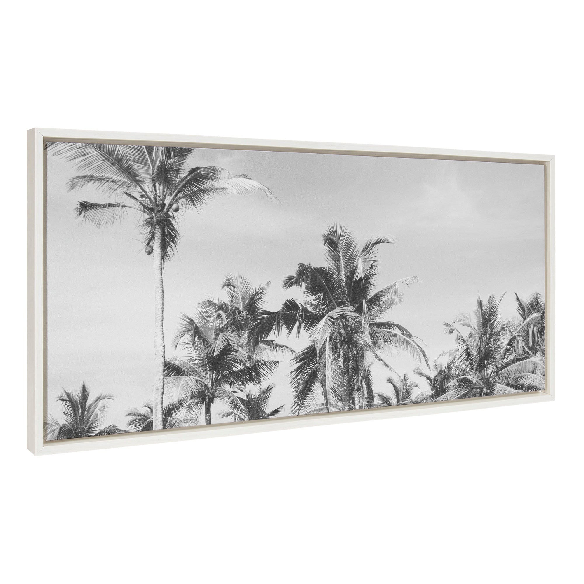 Sylvie Coastal Coconut Palm Tree Beach BW Framed Canvas by kateandlaurel - main product image for Resin Society
