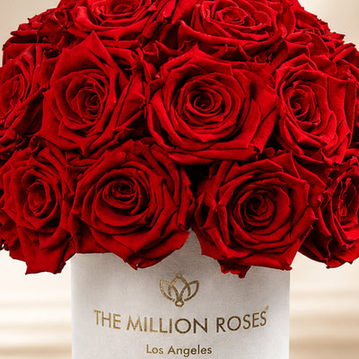 Essence Beige Suede Superdome Box | Red Roses