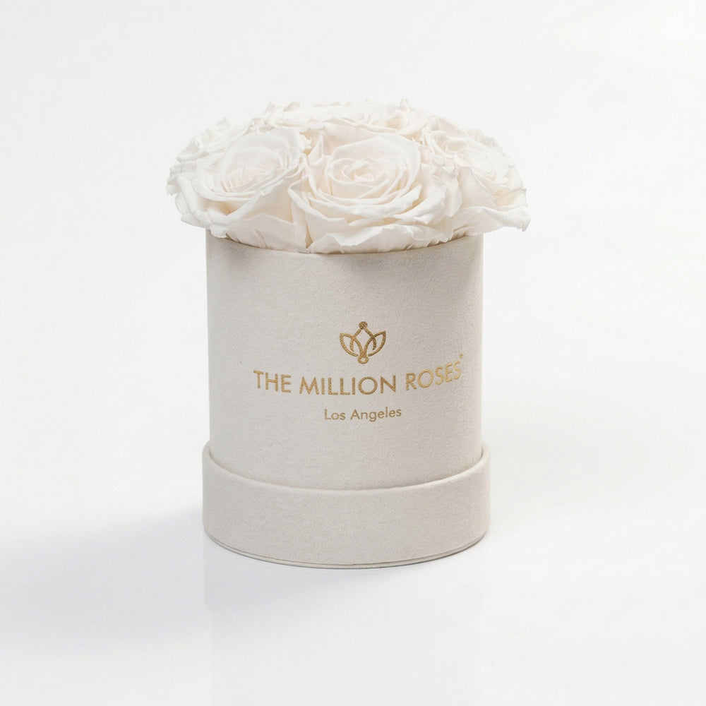 Essence Beige Suede Box containing seven white roses arranged neatly inside