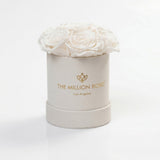 Essence Beige Suede Box containing seven white roses arranged neatly inside