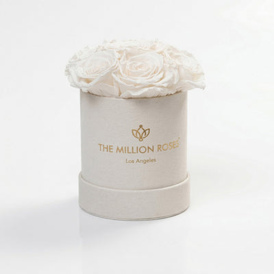 Essence Beige Suede Box containing seven white roses arranged neatly inside
