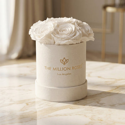 Essence Beige Suede Box | White Roses