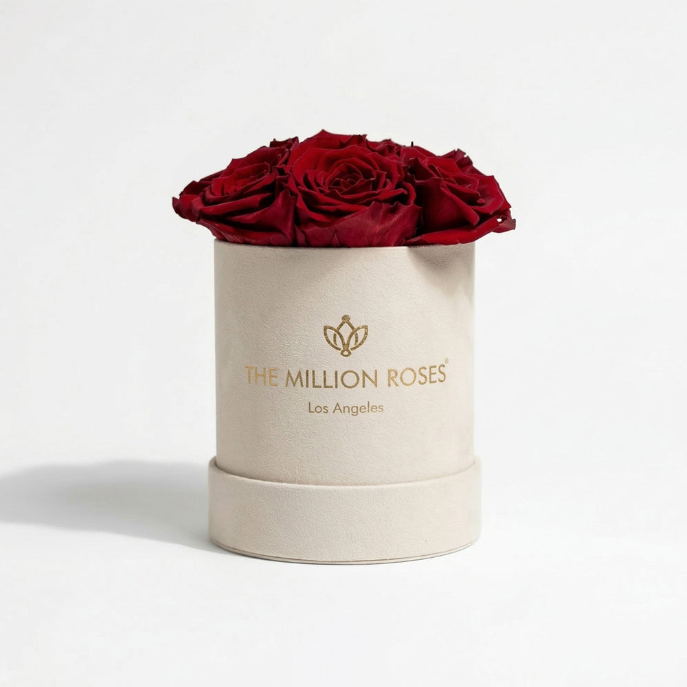 Beige suede box holding seven preserved red roses