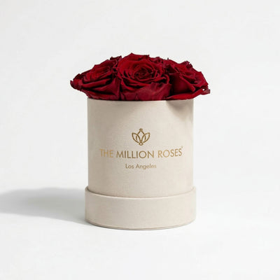 Beige suede box holding seven preserved red roses