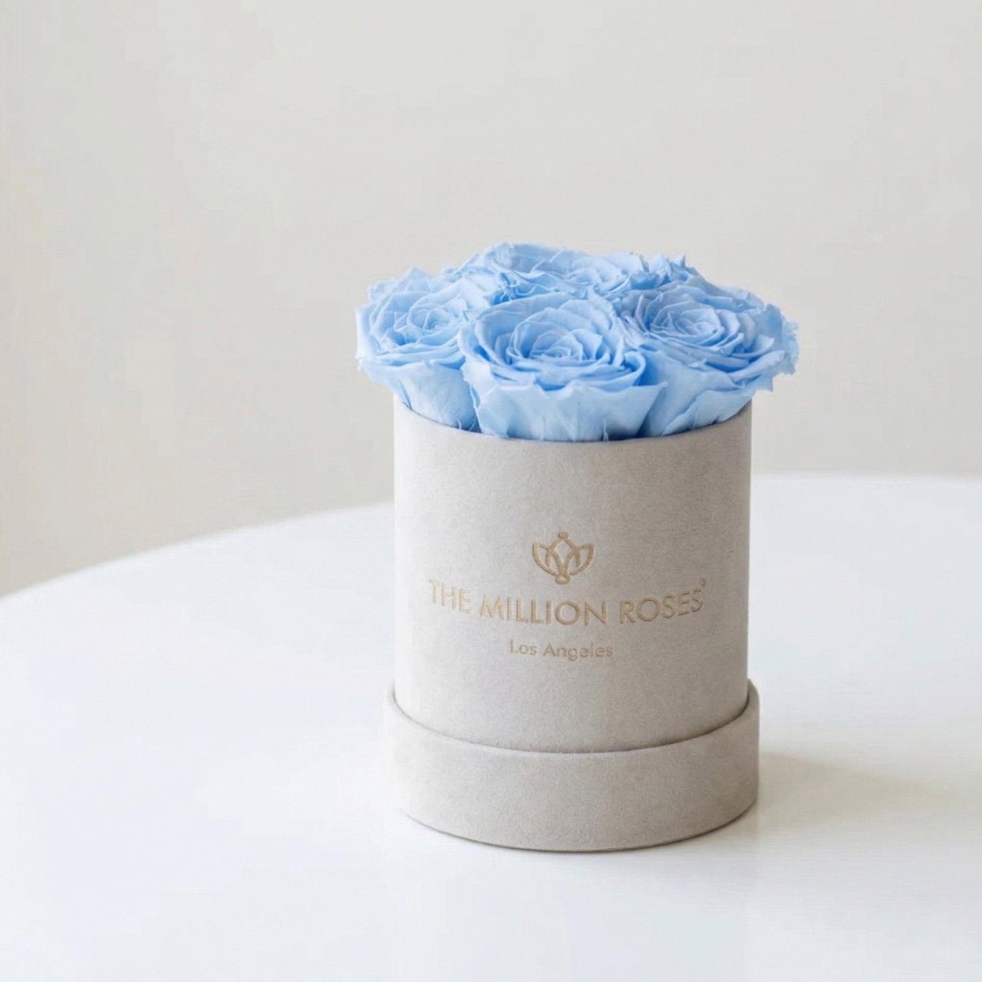 Essence Beige Suede Box containing seven light blue roses arranged in a beige suede box