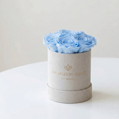 Essence Beige Suede Box containing seven light blue roses arranged in a beige suede box