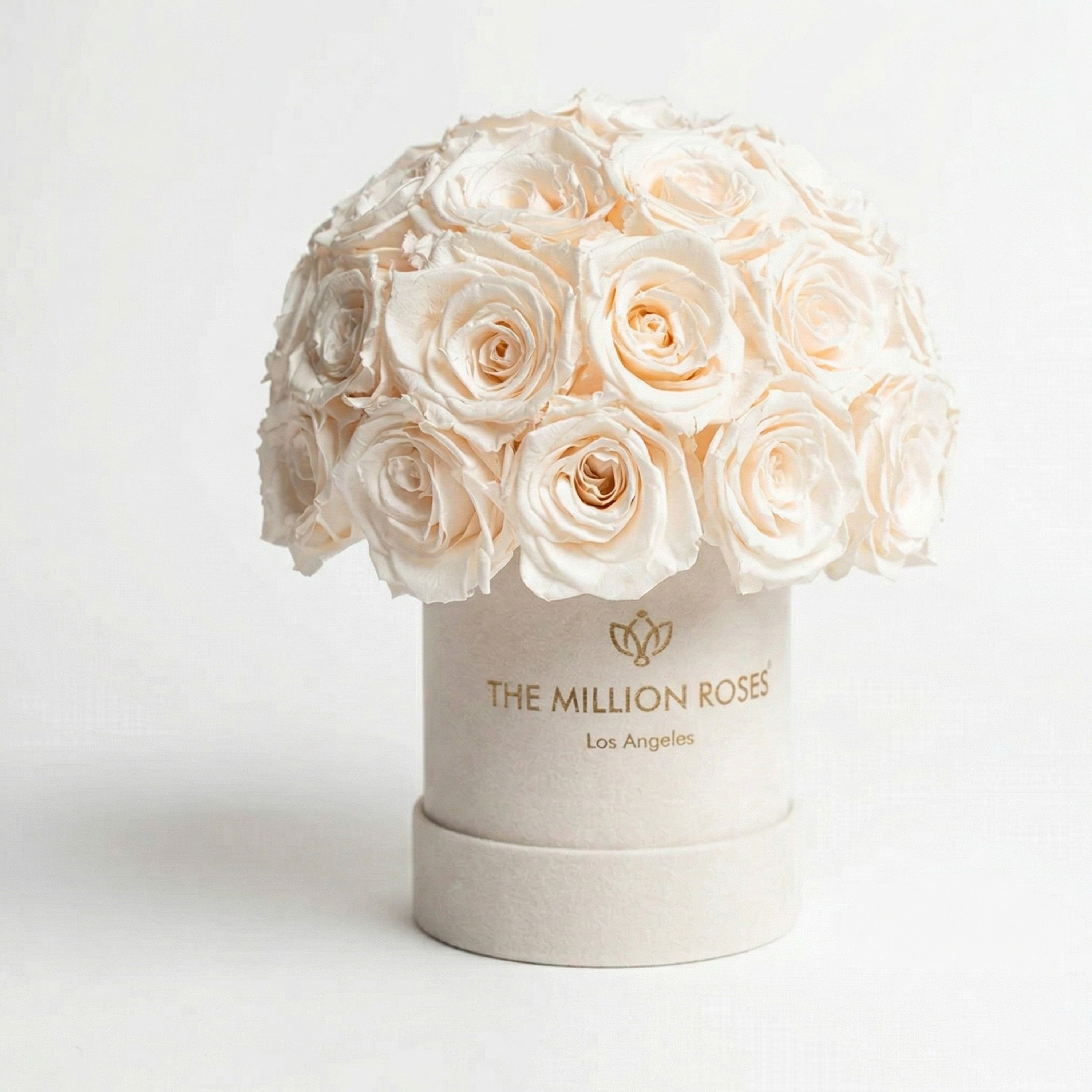 Essence Beige Suede Superdome Box filled with white roses