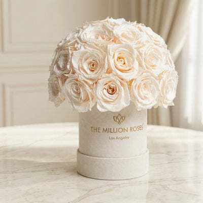 Essence Beige Suede Superdome Box | White Roses