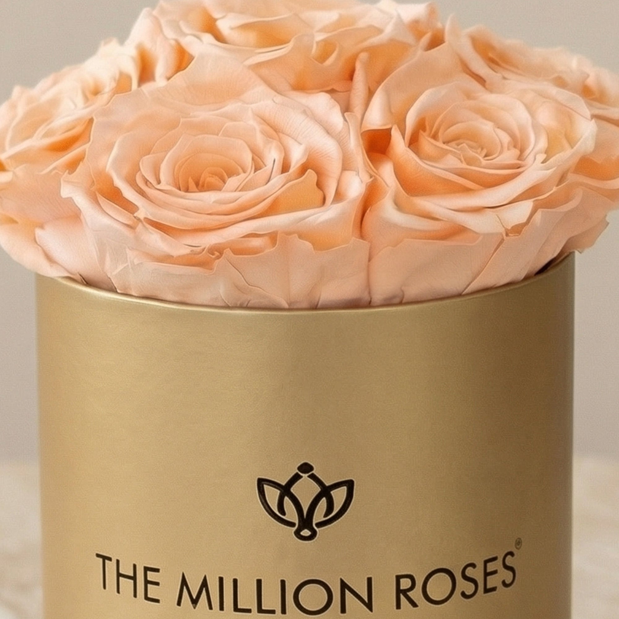 Essence Gold Box | Peach Roses by The Million Roses
